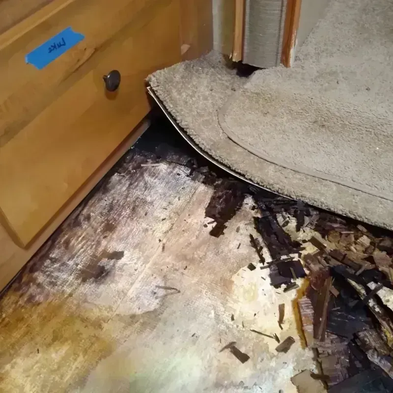 Wood Floor Water Damage in Dover Beaches South, NJ